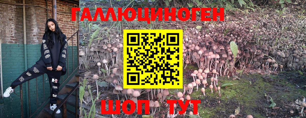 Галлюциногенные грибы MAGIC MUSHROOMS  Галлюциногенные грибы мухоморы  Вход с VPN  Балтийск 